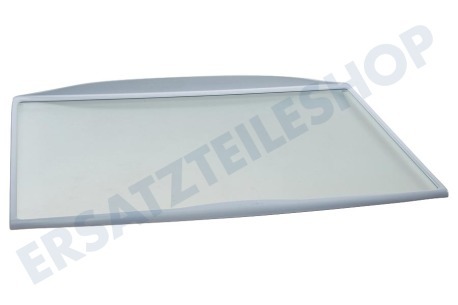 Tegran Kühlschrank Glasplatte komplett mit Rand, 460x310mm