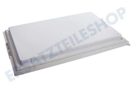 Hotpoint Kühlschrank Gefrierfachklappe komplett mit Handgriff und Dichtung