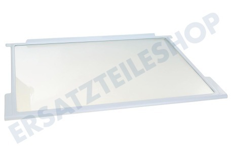 Sauter Kühlschrank Glasplatte Komplett, inkl. Leisten