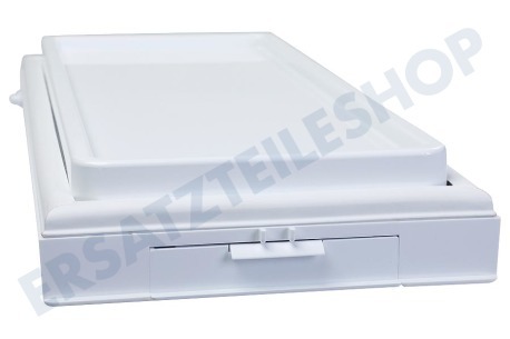 Pelgrim Kühlschrank Gefrierfachklappe