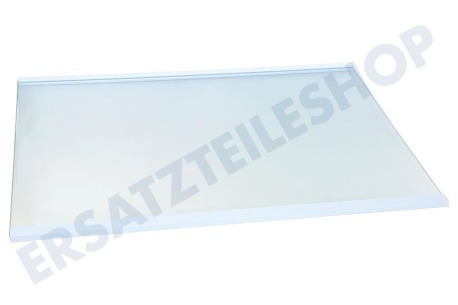 Samsung Kühlschrank DA97-13502D Glasplatte