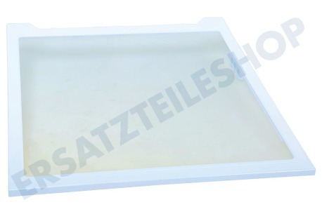 Samsung Kühlschrank DA97-16728A Glasplatte