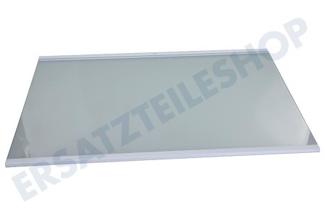Samsung Kühlschrank DA97-16284A Glasplatte komplett