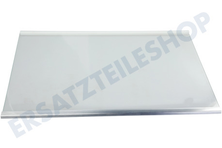 Samsung Kühlschrank DA97-13502G Glasplatte Komplett, Kühlschrank, RL31/29 Best, Silber