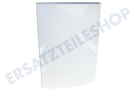 Elektro helios Kühlschrank Tür Kühlschranktür, weiß, 545 x 993 mm