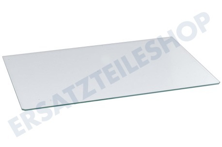 Zanussi Kühlschrank Glasplatte 47,5x28,9cm