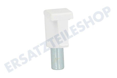 Dometic Kühlschrank Scharnierbolzen