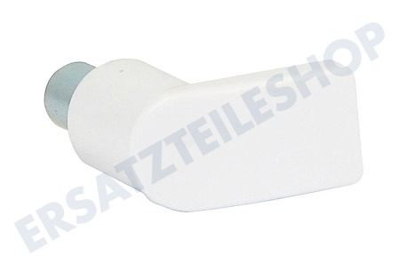 Dometic Kühlschrank Scharnierbolzen