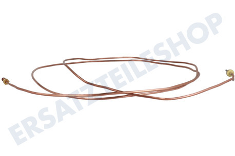 Dometic Kühlschrank Thermisches Element 2100mm