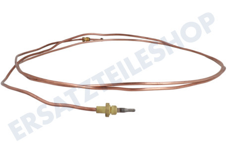 Dometic Kühlschrank Thermisches Element 2100mm