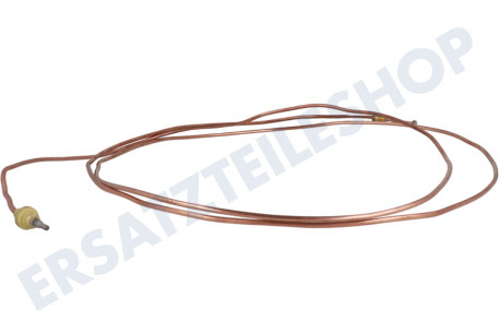 Dometic Kühlschrank Thermisches Element 2100mm