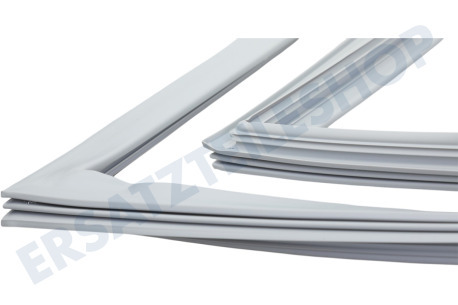 LG Kühlschrank ADX73571119 Türdichtung Kühlschrank
