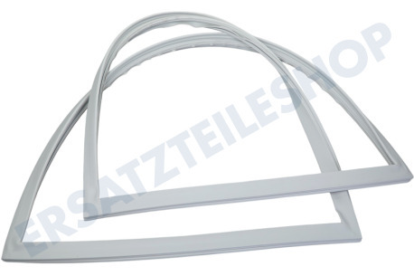 LG Kühlschrank ADX73571119 Türdichtung Kühlschrank