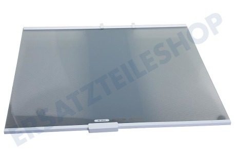 LG Kühlschrank AHT75340901 Glasplatte komplett