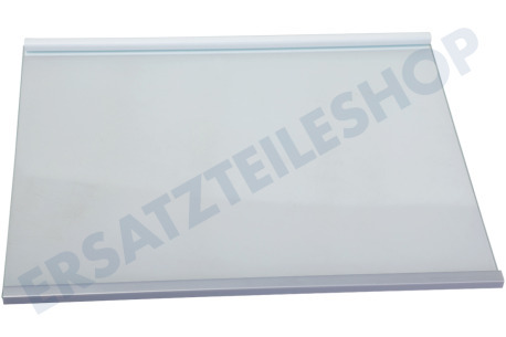 LG Kühlschrank Glasplatte