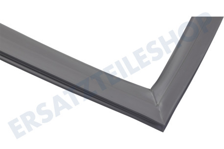 Haier Kühlschrank 0060829116AK Dichtungsgummi Kühlschrank