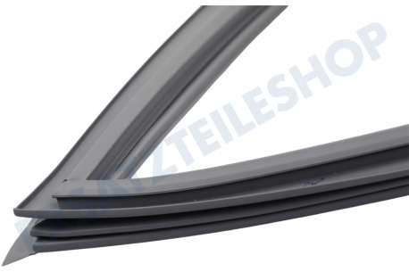 Haier Kühlschrank 0060829116AK Dichtungsgummi Kühlschrank