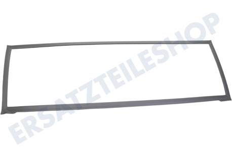 Haier Kühlschrank 0060829116AK Dichtungsgummi Kühlschrank