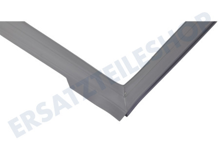 Haier Kühlschrank 0060829116AK Dichtungsgummi Kühlschrank