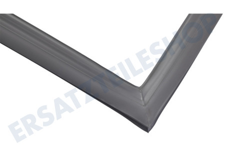 Haier Kühlschrank 0060829116AK Dichtungsgummi Kühlschrank