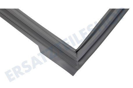 Haier Kühlschrank 0060829116AK Dichtungsgummi Kühlschrank