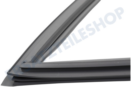 Haier Kühlschrank 0060829116AK Dichtungsgummi Kühlschrank