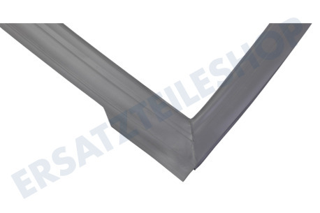 Haier Kühlschrank 0060829116AK Dichtungsgummi Kühlschrank