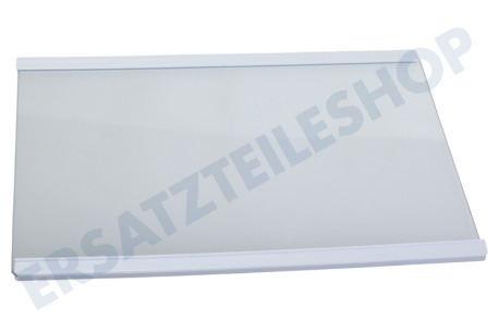 Hisense Kühlschrank Glasablage