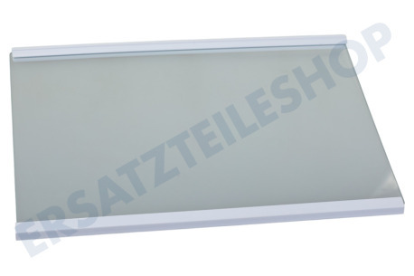 Hisense Kühlschrank Glasablage