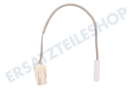 Hisense Kühlschrank Temperaturfühler