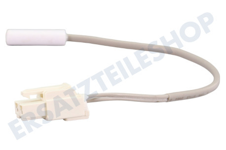 Hisense Kühlschrank Temperaturfühler