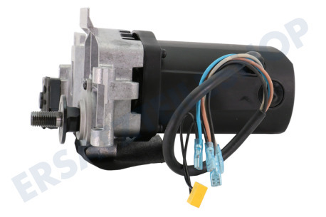 Dewalt  Motor komplett