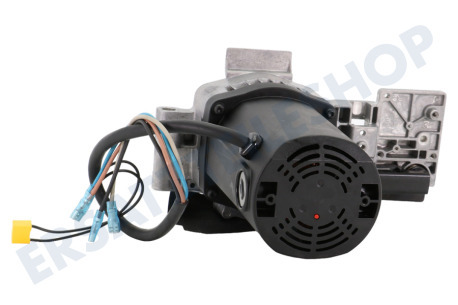 Dewalt  Motor komplett