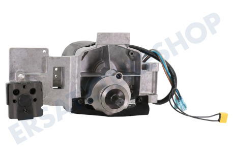 Dewalt  Motor komplett