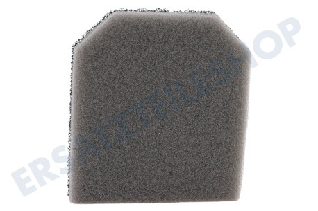 AEG Staubsauger Filter Schaumstofffilter