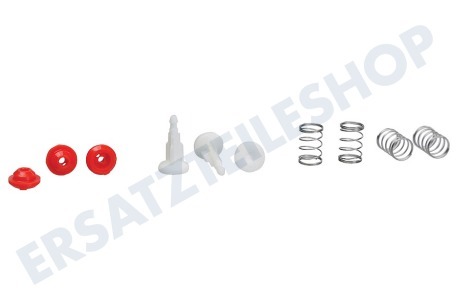 Karcher Hochdruck 4.100-830.0 Zylinderkopf-Reparatursatz