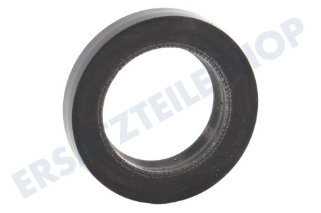 Karcher Hochdruck 6.365-332.0 Sicherungsring