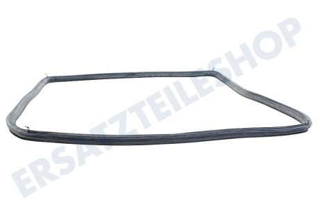 AEG Ofen-Mikrowelle Türdichtung, rundum