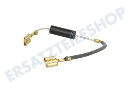 Zanussi Ofen-Mikrowelle Diode