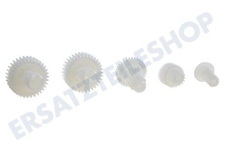 Braun  Zahnrad Zahnrad-Set