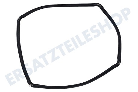 Gorenje Ofen-Mikrowelle Türdichtung