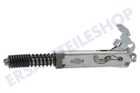 Hisense Ofen-Mikrowelle Scharnier Ofen