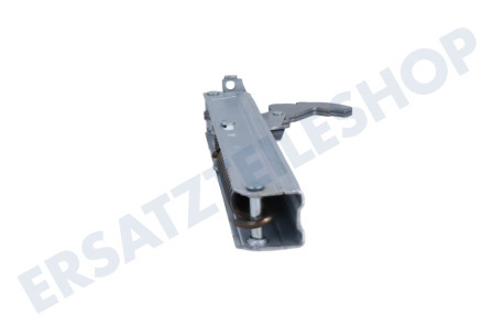 Gorenje Ofen-Mikrowelle Scharnier Links/Rechts