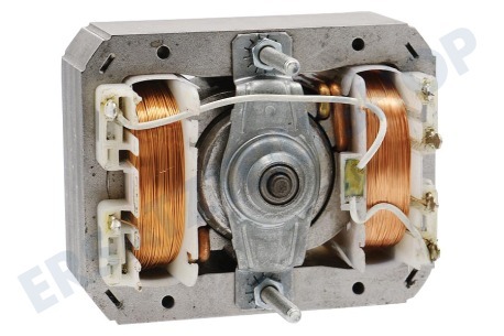 Pelgrim Abzugshaube Motor des Ventilators