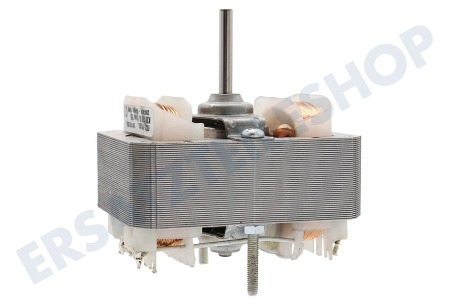 Pelgrim Abzugshaube Motor des Ventilators