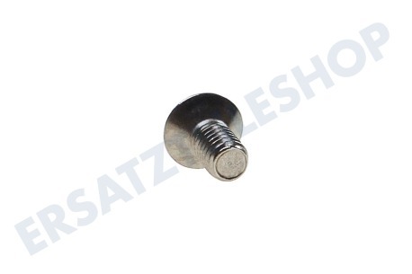 Saeco Kaffeemaschine Schraube des Siebes