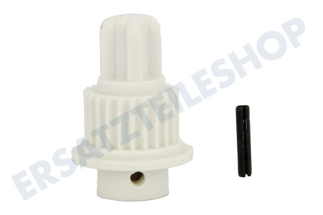 Kenwood Küchenmaschine Zahnrad Zahnrad mit Stift