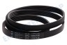 Universell  Keilrippenriemen 1184 PJE J6 TEM