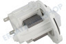 Electrolux Waschmaschine Pumpe Ablaufpumpe -Leili-