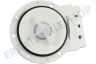 Electrolux Waschmaschine Pumpe Ablaufpumpe -Leili-